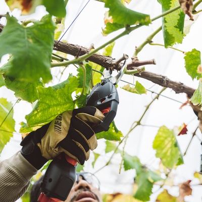Tijera Poda Bateria Echo Dps 350